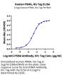 Human PSMA/FOLH1 Protein, Ultra Low Endotoxin (PSM-HM110-UL)