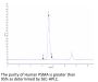 Human PSMA/FOLH1 Protein (active dimer) (PSM-HM110)