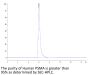 Human PSMA/FOLH1 Protein (PSM-HM210)