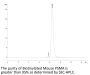 Biotinylated Mouse PSMA/FOLH1 Protein (Primary Amine Labeling) (PSM-MM110B)