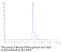 Mouse PTN Protein (PTN-MM201)