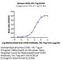 Human CD45/PTPRC Protein (PTP-HM204)