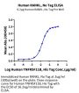 Human RANKL/TNFSF11/CD254 Protein (RKL-HM001)