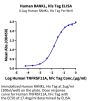Human RANKL/TNFSF11/CD254 Protein (RKL-HM101)