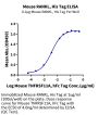 Mouse RANKL/TNFSF11/CD254 Protein (RKL-MM101)