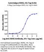 Cynomolgus ROR2/NTRKR2 Protein (ROR-CM102)