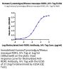 Human/Cynomolgus/Rhesus macaque ROR1 Protein (ROR-HM201)