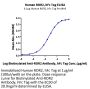 Human ROR2/NTRKR2 Protein (ROR-HM202)