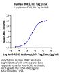 Human ROR2/NTRKR2 Protein (ROR-HM402)