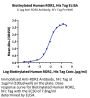 Biotinylated Human ROR2/NTRKR2 Protein (ROR-HM402B)