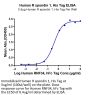 Human R spondin 1/RSPO1 Protein (RS1-HM101)