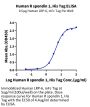 Human R spondin 1/RSPO1 Protein (RS1-HM101)
