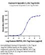 Human R spondin 3/RSPO3 Protein (RSP-HM103)