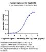 Human Siglec-2/CD22 Protein (SIG-HM122)