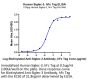 Human Siglec-3/CD33 Protein (SIG-HM203)