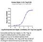Human Siglec-2/CD22 Protein (SIG-HM222)
