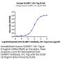 Human SLAMF7/CRACC/CD319 Protein (SMF-HM207)