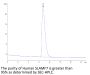 Human SLAMF7/CRACC/CD319 Protein (SMF-HM407)