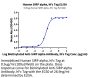 Human SIRP alpha/CD172a Protein (SRP-HM272)