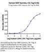 Human SIRP Gamma/CD172g Protein (SRP-HM40G)
