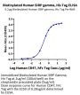 Biotinylated Human SIRP gamma/CD172g Protein (SRP-HM40GB)