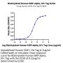 Biotinylated Human SIRP alpha/CD172a Protein (SRP-HM572B)