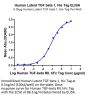 Human Latent TGF beta 1/TGFB1 Protein (TG1-HM401)