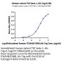 Human Latent TGF beta 1/TGFB1 Protein (TG1-HM401)