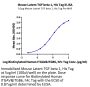 Mouse Latent TGF beta 1/TGFB1 Protein (TG1-MM101)