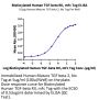 Biotinylated Human TGF-beta RII/TGFBR2 Protein (TGF-HM3R2B)