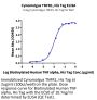 Cynomolgus TNFR1/CD120a/TNFRSF1A Protein (TNF-CM1R1)