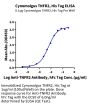 Cynomolgus TNFR2/CD120b/TNFRSF1B Protein (TNF-CM1R2)