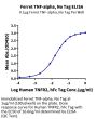 Ferret TNF alpha Protein (TNF-FE00A)