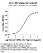Ferret TNF alpha Protein (TNF-FE10A)
