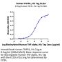Human TNFR1/CD120a/TNFRSF1A Protein (TNF-HM1R1)