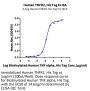 Human TNFR2/CD120b/TNFRSF1B Protein (TNF-HM1R2)