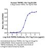 Human TNFR2/CD120b/TNFRSF1B Protein (TNF-HM1R2)