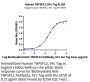Human TNFSF12/TWEAK Protein (TNF-HM212)