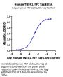 Human TNFR1/CD120a/TNFRSF1A Protein (TNF-HM2R1)