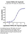 Human TNFR2/CD120b/TNFRSF1B Protein (TNF-HM2R2)