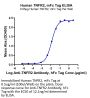 Human TNFR2/CD120b/TNFRSF1B Protein (TNF-HM3R2)