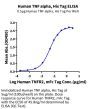 Human TNF alpha Protein (TNF-HM40A)