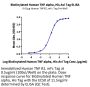 Biotinylated Human TNF alpha Protein (TNF-HM40AB)