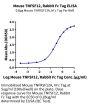 Mouse TNFSF12/TWEAK Protein (TNF-MM612)
