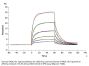 Human TYRO3 Protein (TYR-HM103)