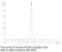 Human VLDLR Protein (VDR-HM101)