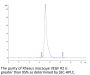 Rhesus macaque VEGF R2/KDR Protein (VGF-CM1R2)