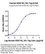 Human VEGF R2/KDR Protein (VGF-HM2R2)