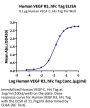 Human VEGF R3/FLT4 Protein (VGF-HM2R3)