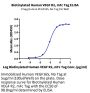Biotinylated Human VEGF R2/KDR Protein (Primary Amine Labeling) (VGF-HM3R2B)